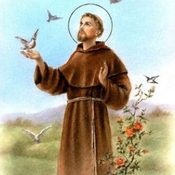 Feast of Saint Francis of Assisi & Blessing of Animals